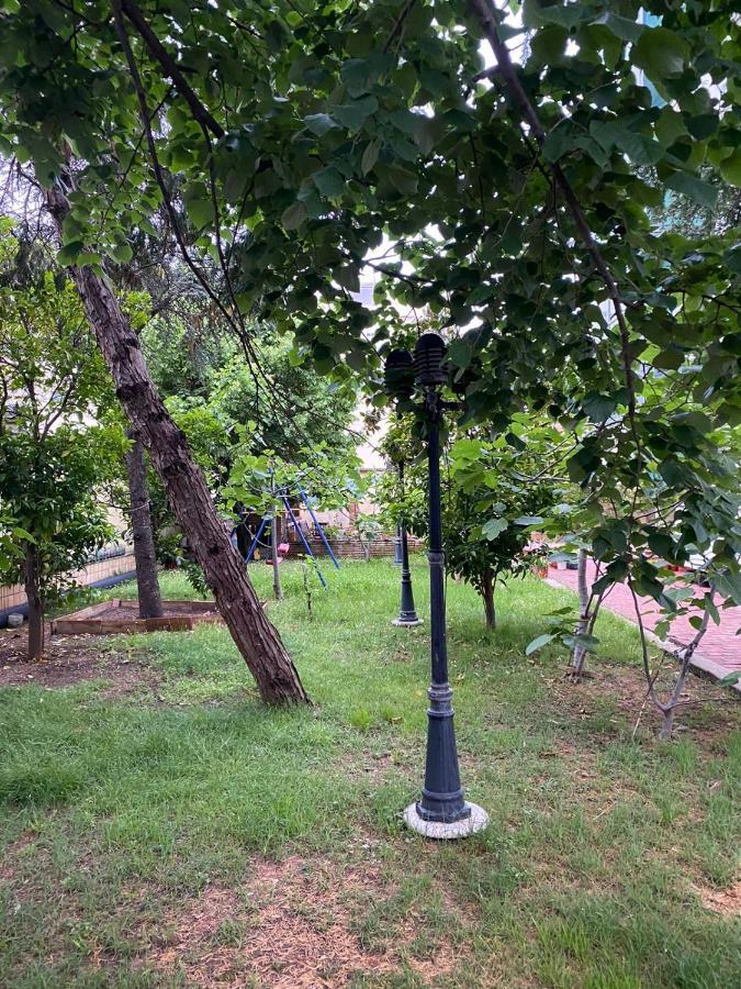 Garden * Durrës